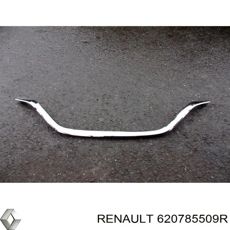 Купити 620785509R Renault (RVI) 
