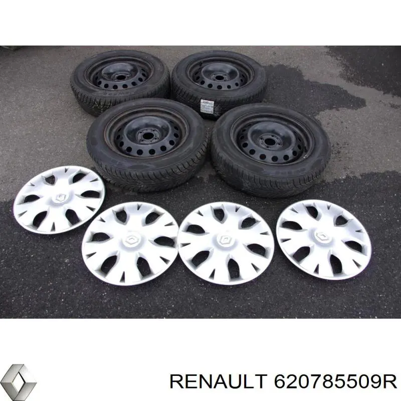  620785509R Renault (RVI)