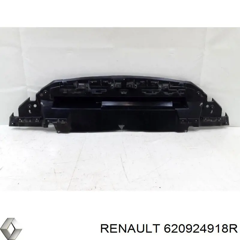 Кенгурятник Renault (RVI) 620924918R ціна, від 268.79 USD