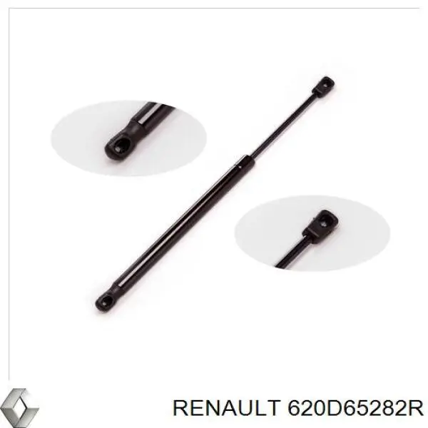 Купити 620D65282R Renault (RVI) 