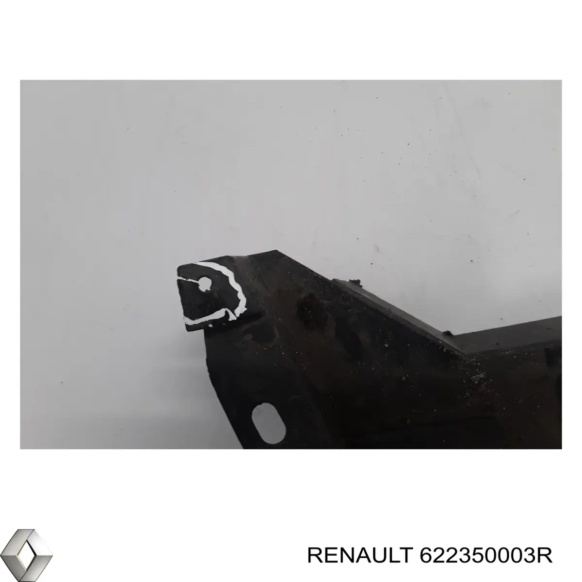 Захист бампера переднього Renault Scenic 3 (JZ0) (Рено Сценік)