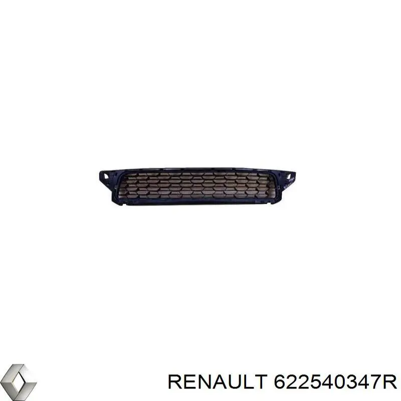 Решітка переднього бампера, центральна Renault DUSTER (HS) (Рено Дастер)