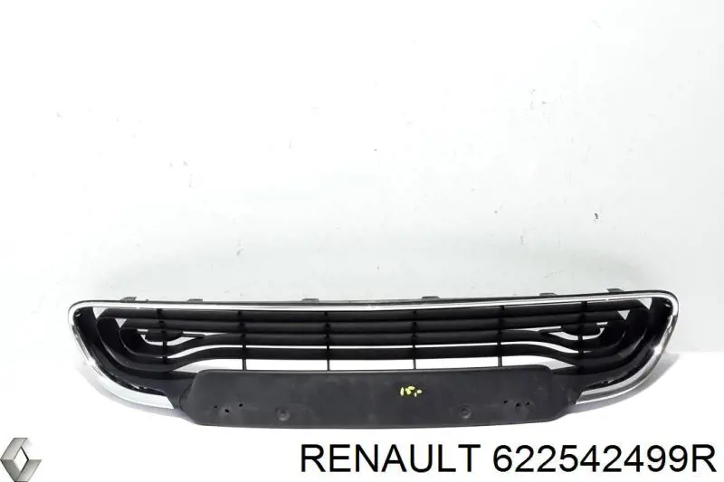 Облицювання радіатора Renault (RVI) 622542499R ціна, від 128.52 USD