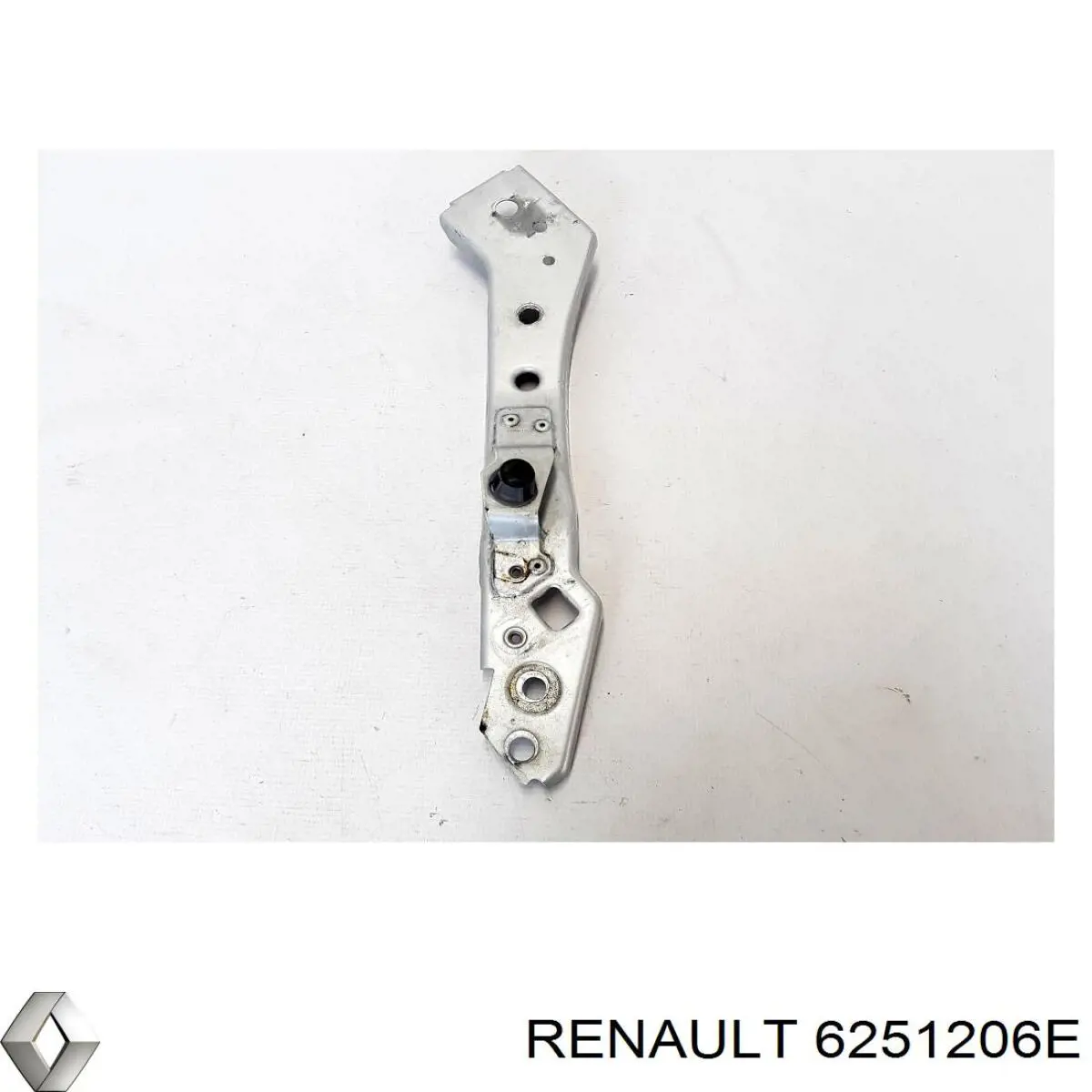 6251206E Renault (RVI) 