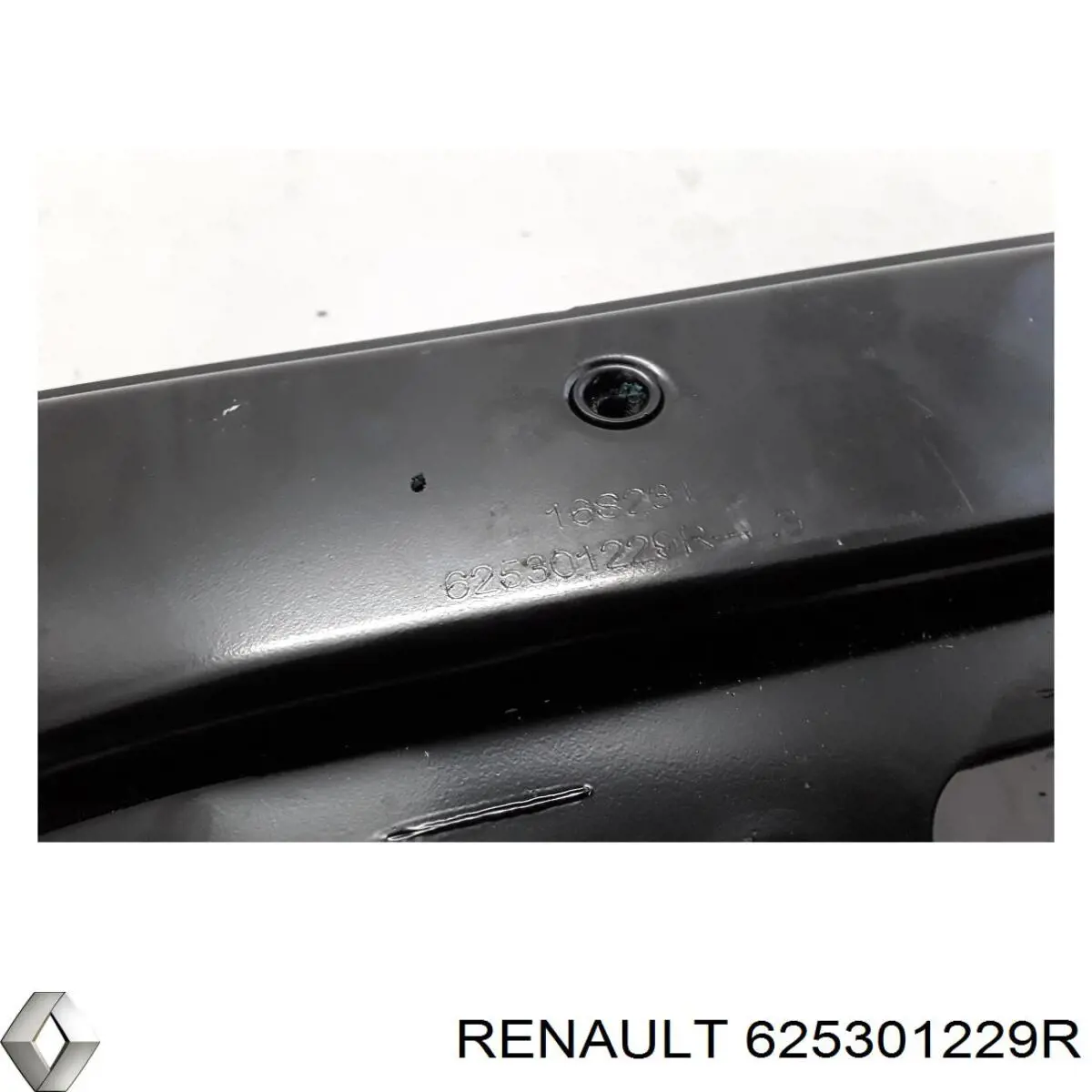 Купити 625301229R Renault (RVI) 