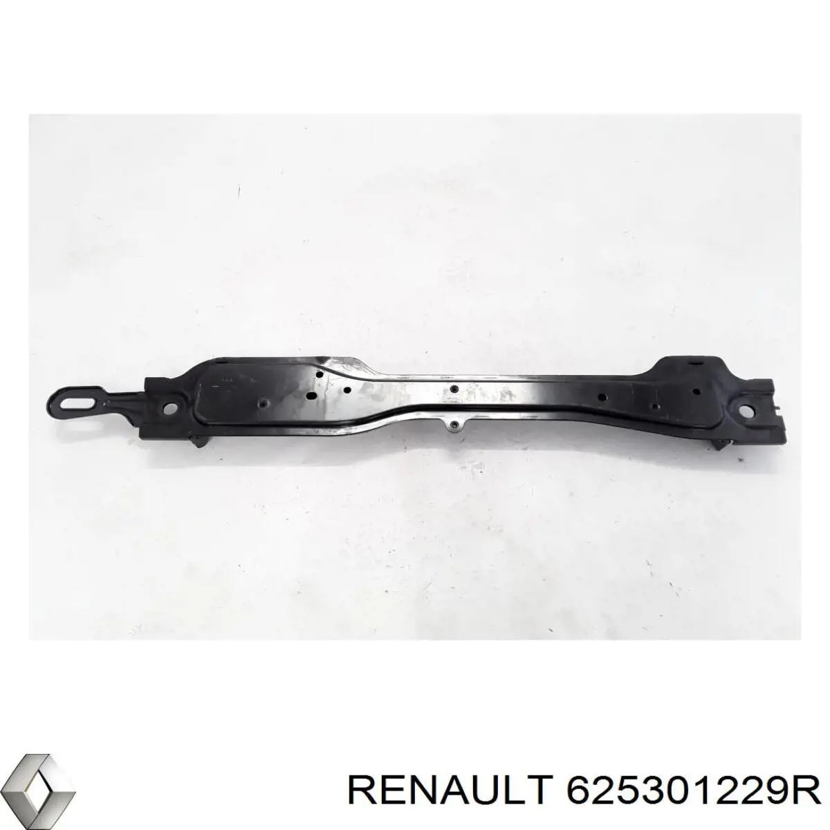 625301229R Renault (RVI) 