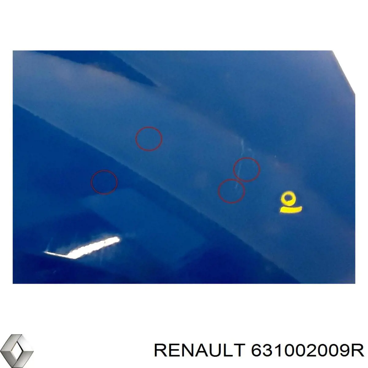 Купити 631002009R Renault (RVI) 