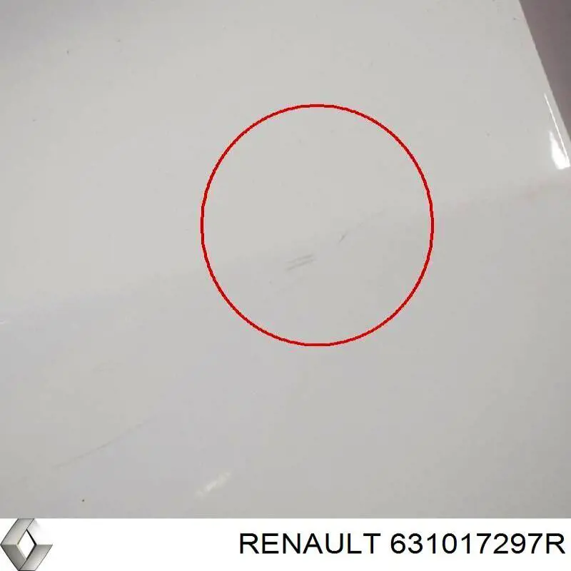 631010047R Renault (RVI) крило переднє ліве