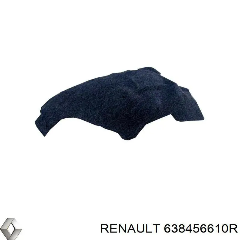 638456610R Renault (RVI) Підкрилок переднього крила, лівий передній
