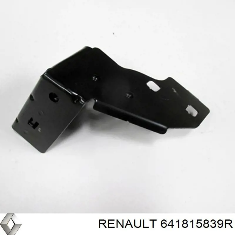 Купити 641815839R Renault (RVI) 