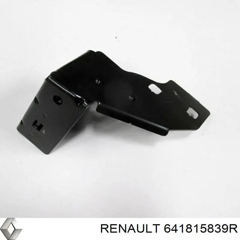  641815839R Renault (RVI)