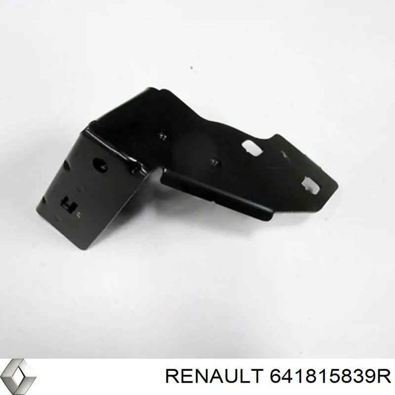 Купити 641815839R Renault (RVI) 