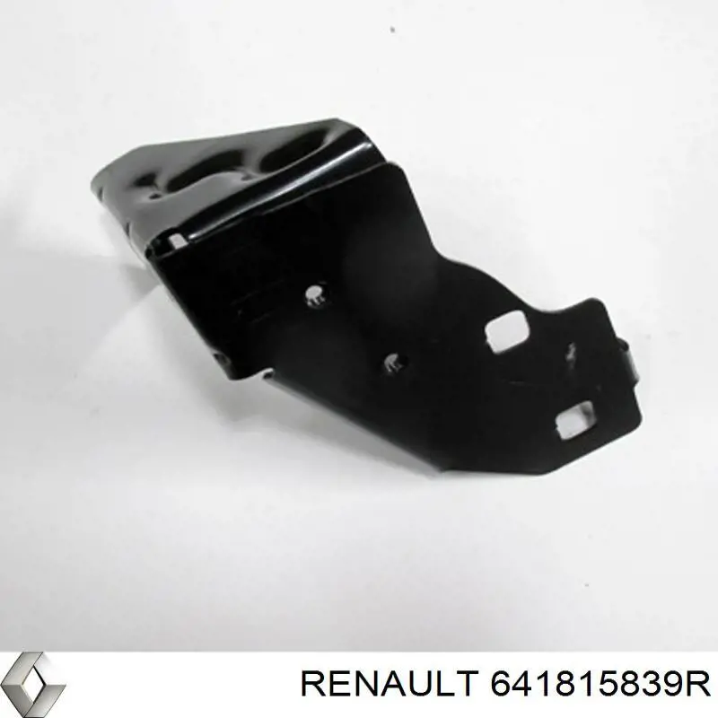  641815839R Renault (RVI)