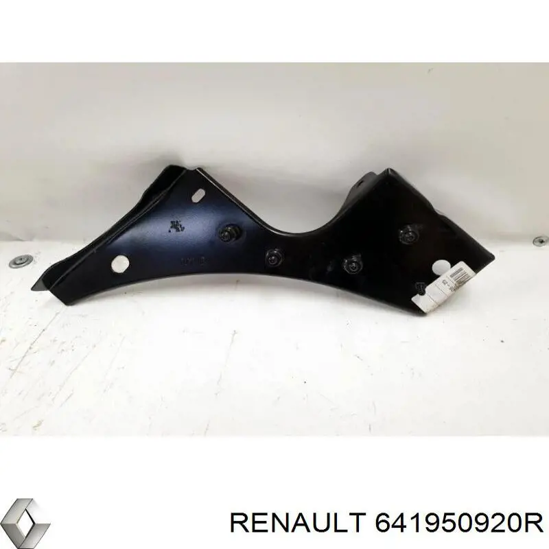 641950920R Renault (RVI) 