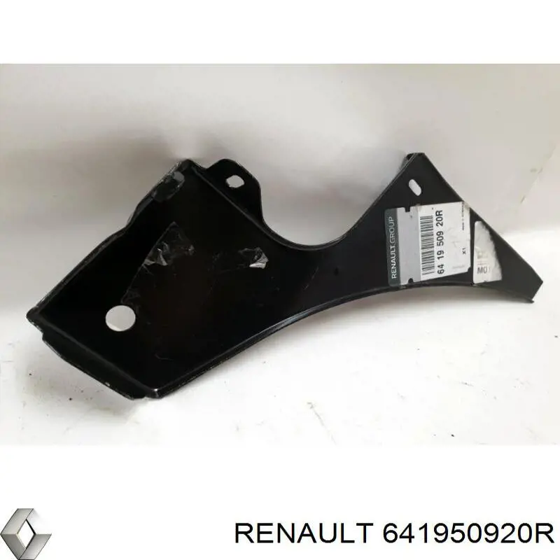  Renault (RVI) 641950920R ціна, від 48.73 USD