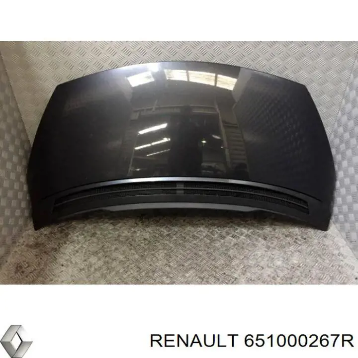 Капот 651000267R Renault (RVI)
