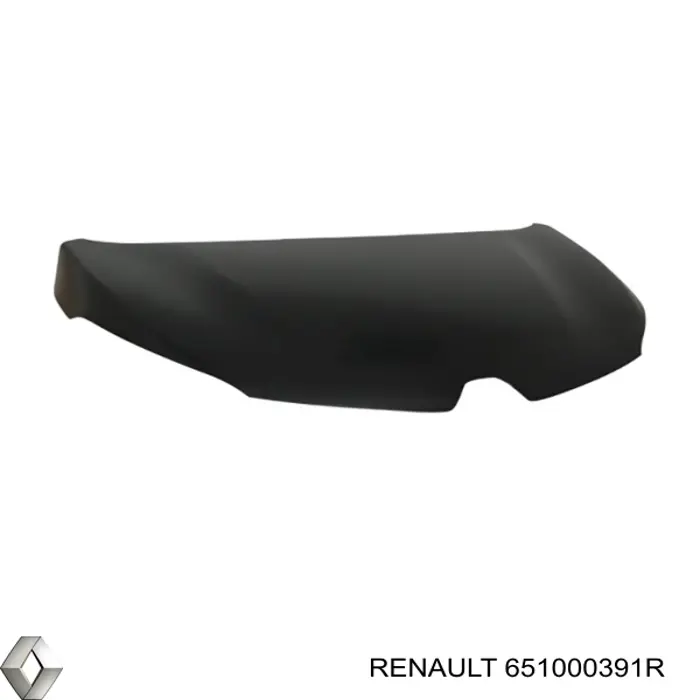 Капот Renault (RVI) 651000391R ціна, від 149.51 USD