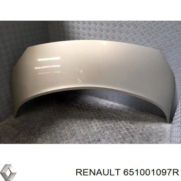 Купити Капот Renault Scenic II JM0, JM1