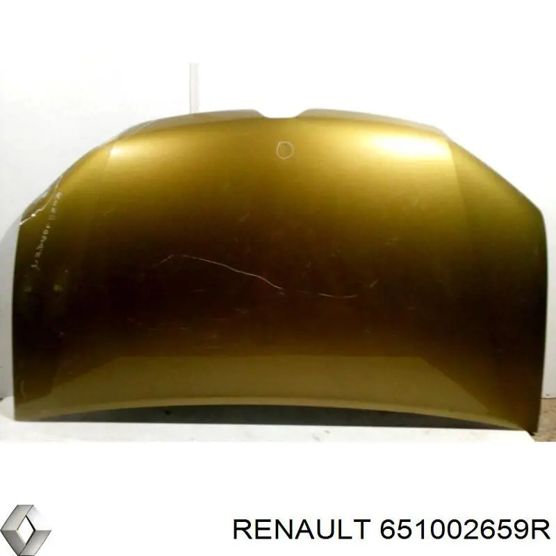 Капот Renault (RVI) 651002659R ціна, від 133.69 USD