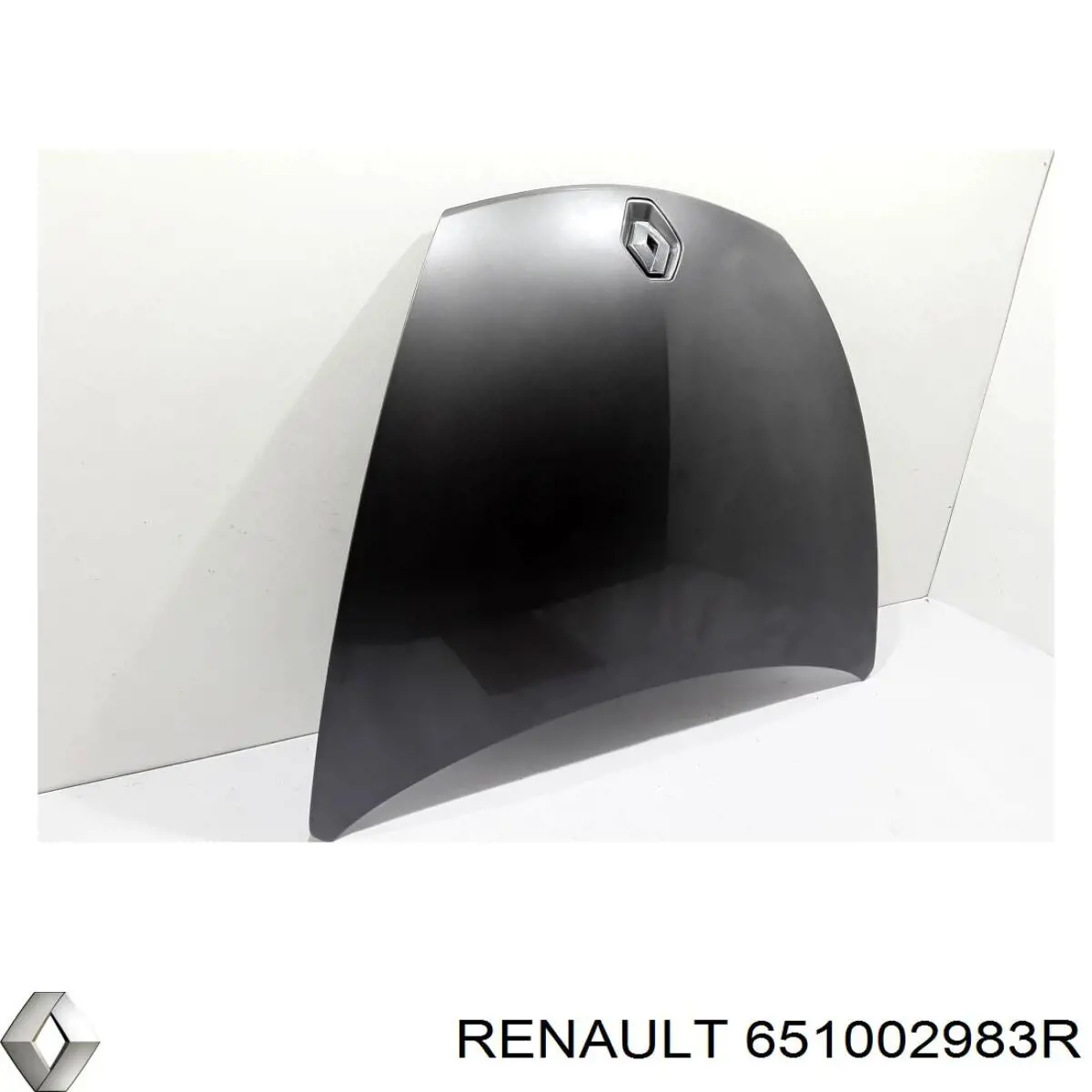 Капот Renault (RVI) 651002983R ціна, від 338.22 USD