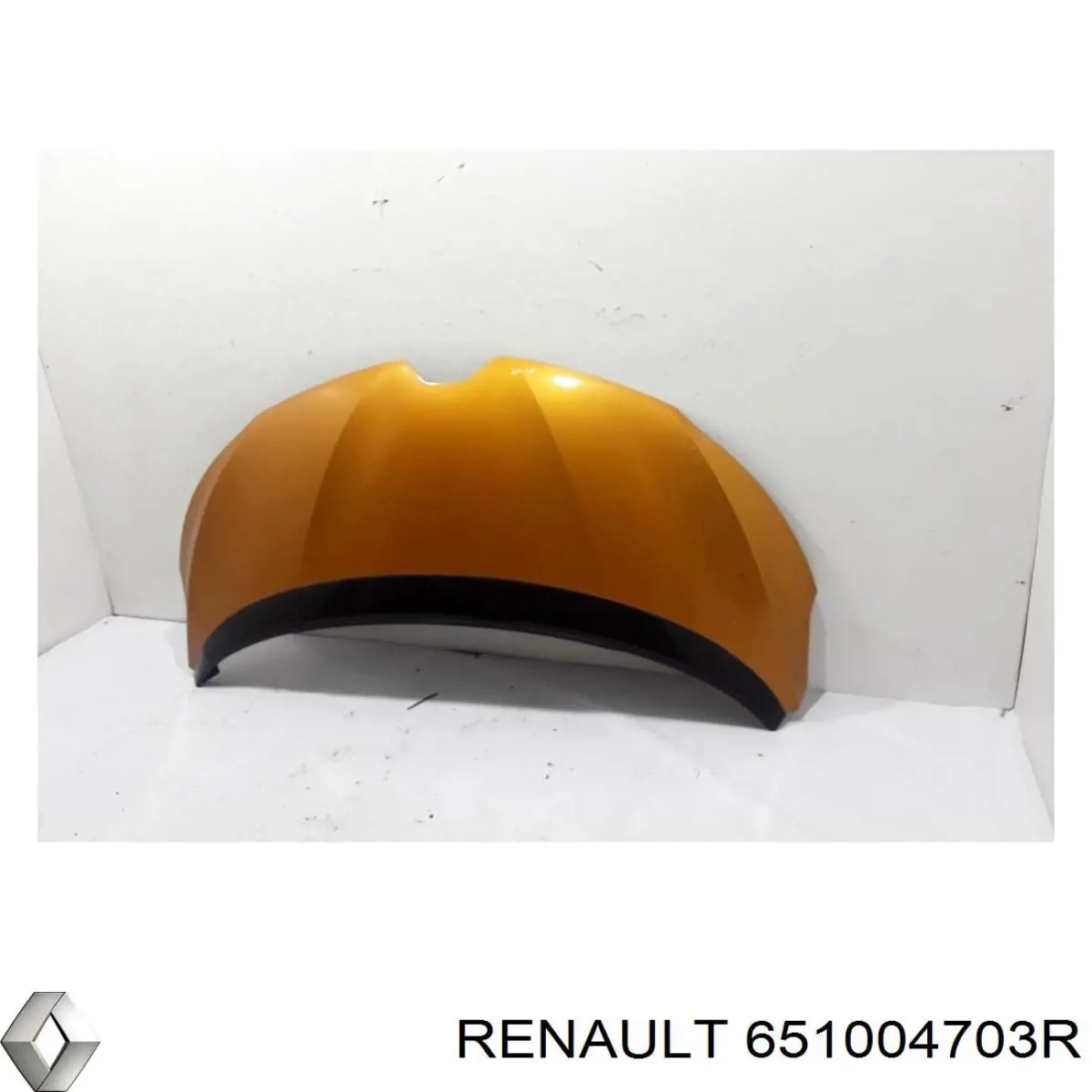 Капот Renault (RVI) 651004703R ціна, від 474.41 USD