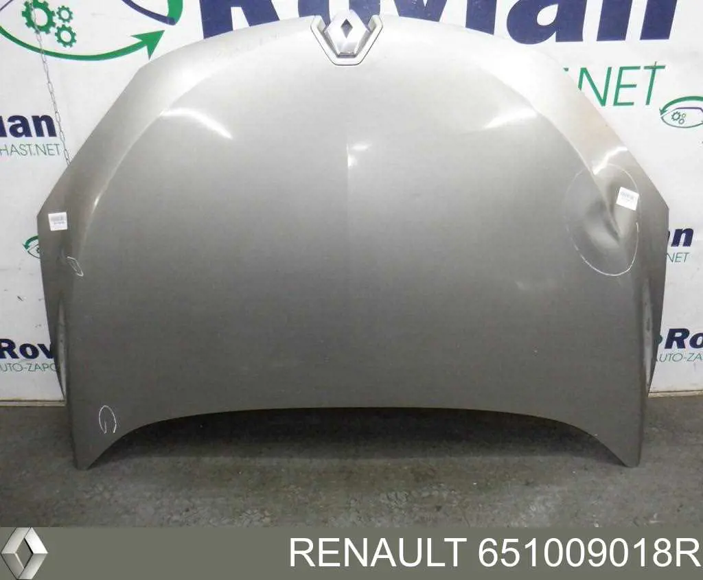 Капот Renault (RVI) 651009018R ціна, від 147.24 USD