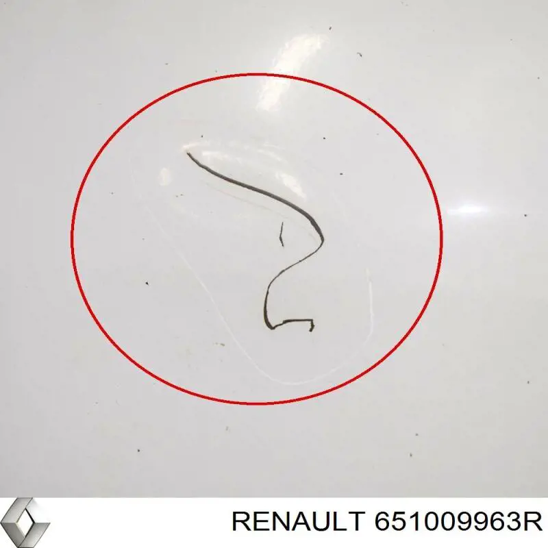 Капот Renault (RVI) 651009963R ціна, від 498.31 USD