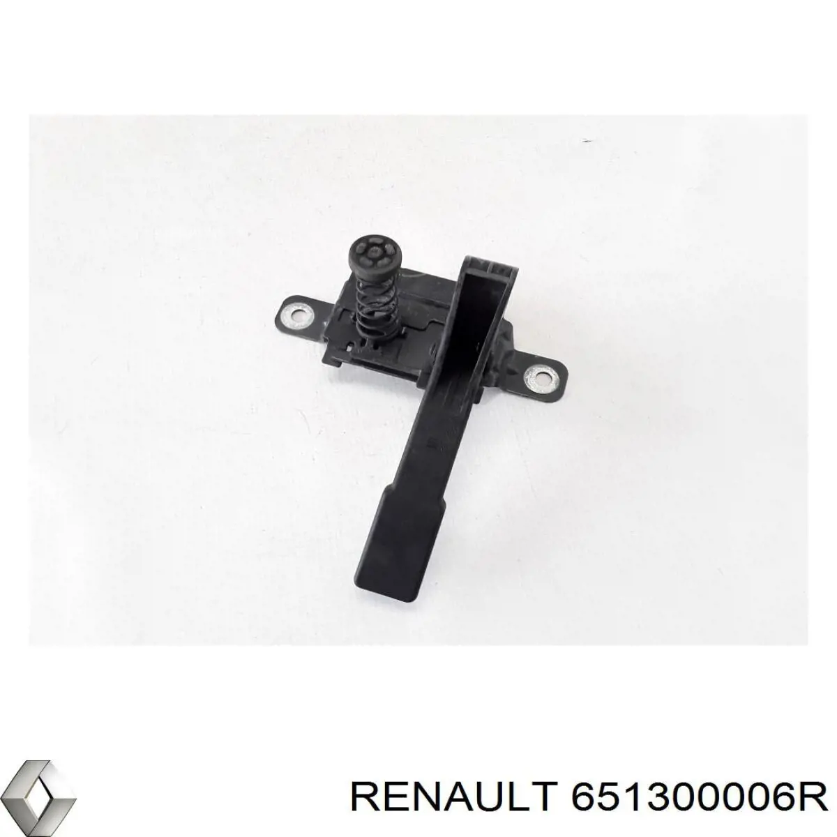  651300006R Renault (RVI)