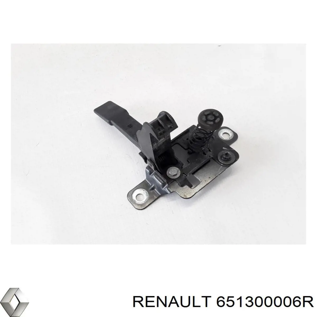 Купити 651300006R Renault (RVI) 