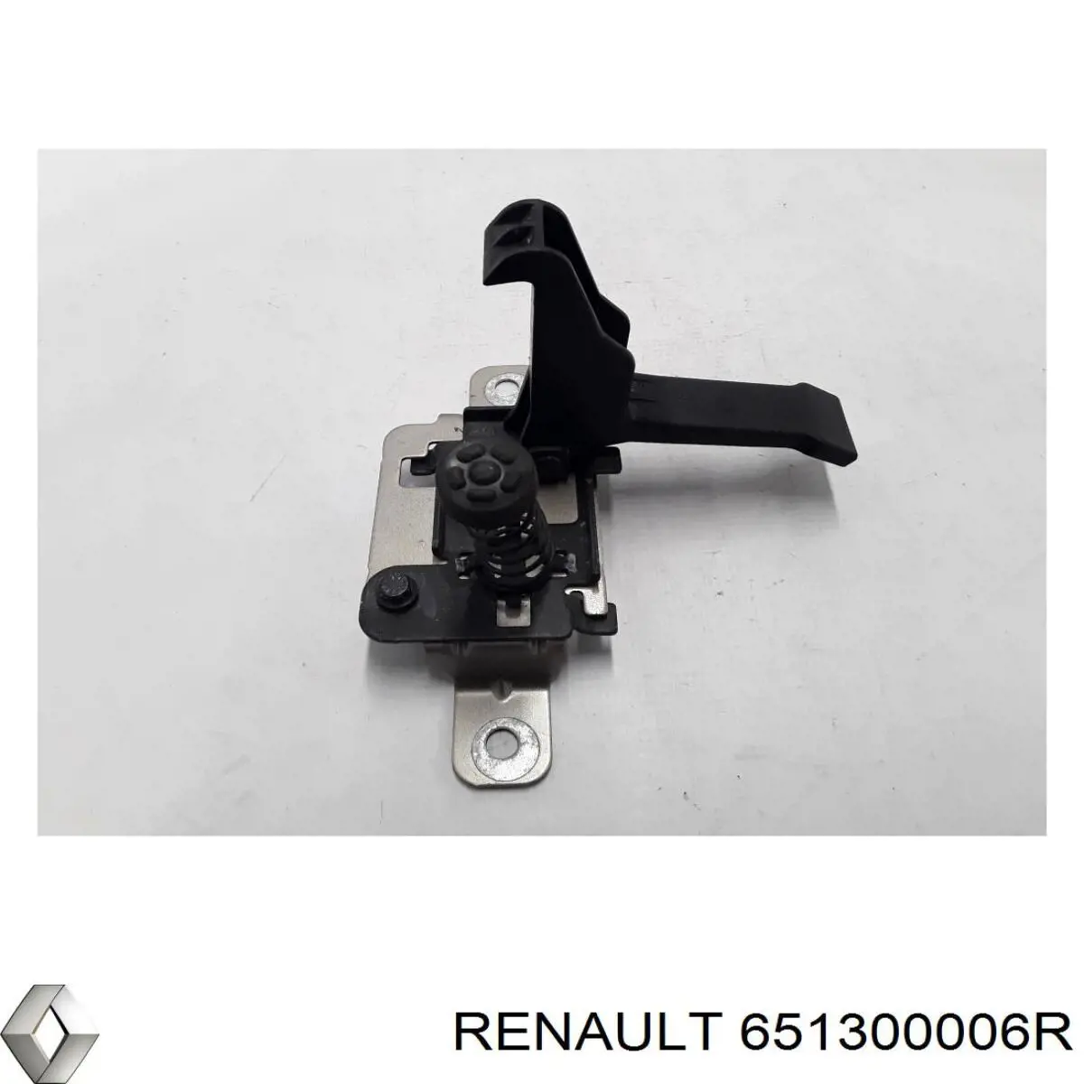 651300006R Renault (RVI) 