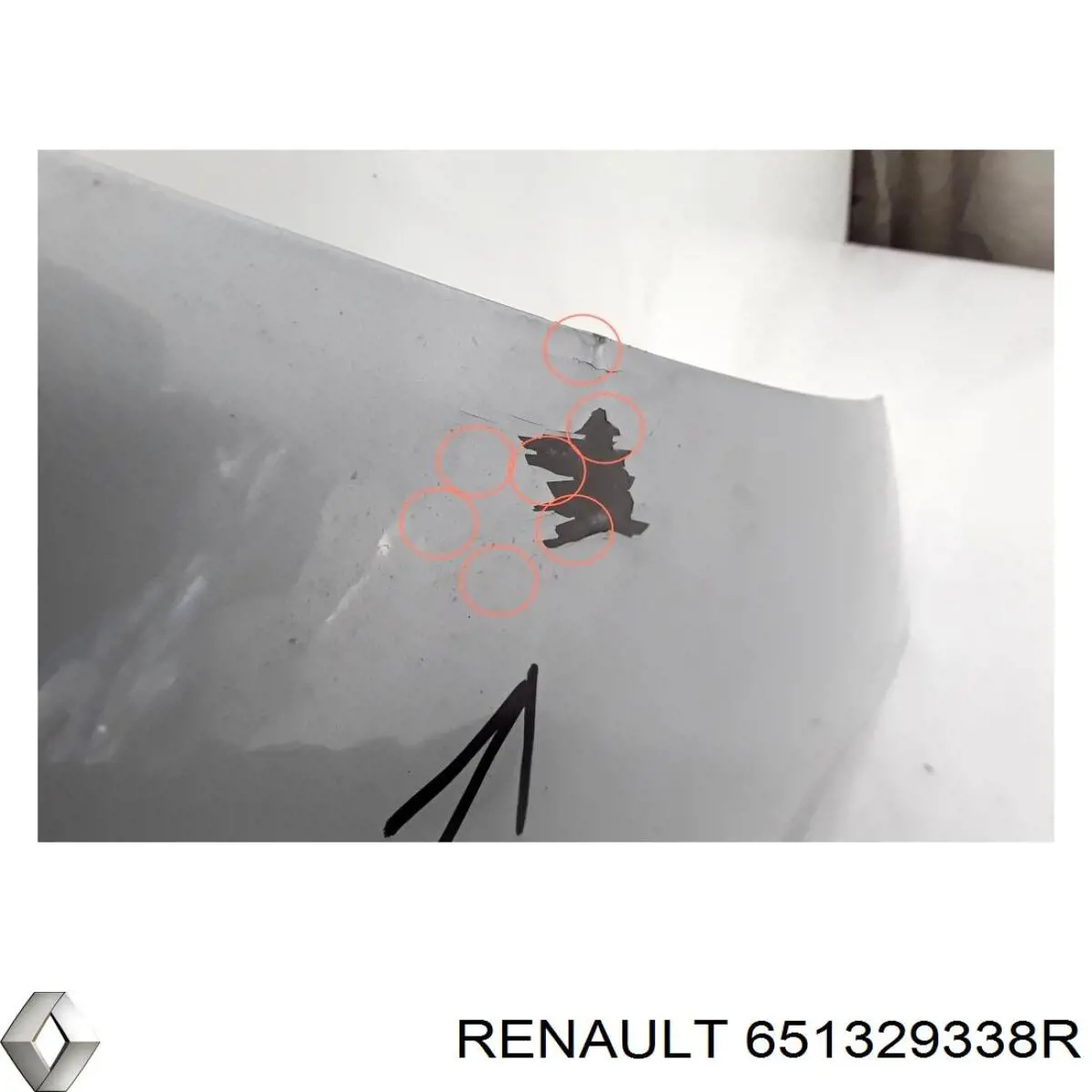 Купити 651329338R Renault (RVI) 