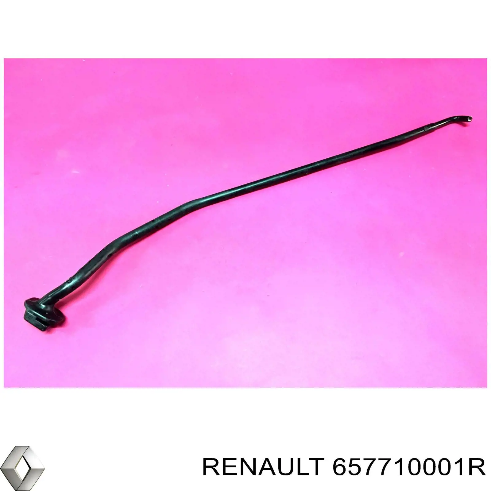 657710001R Renault (RVI) 