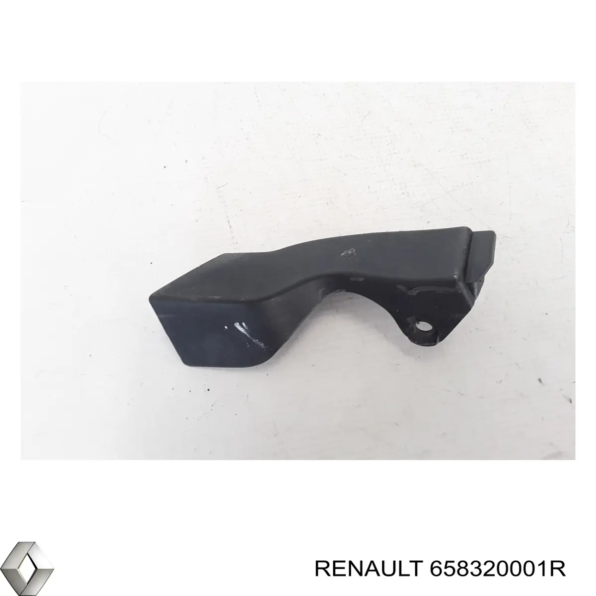  658320001R Renault (RVI)