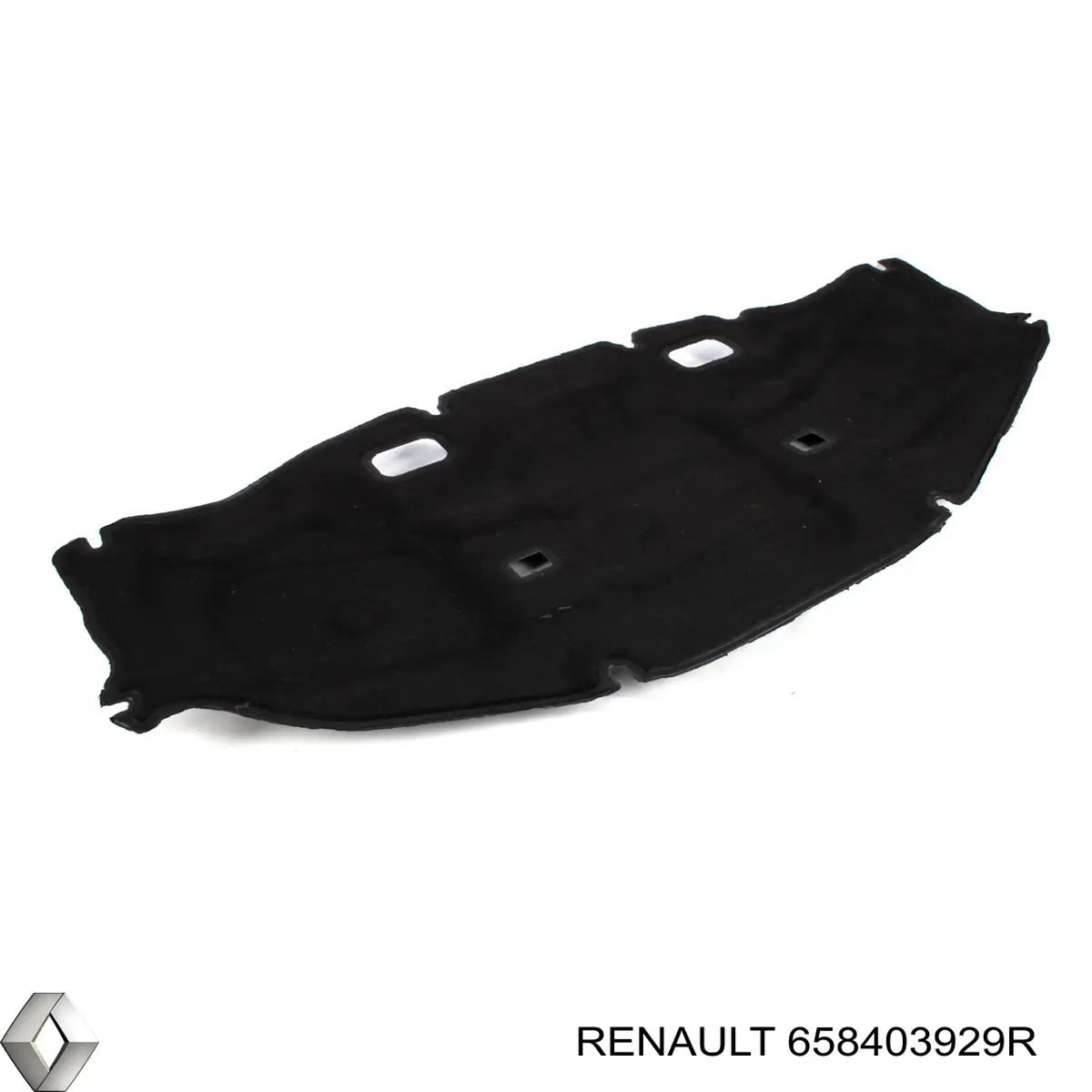  658403929R Renault (RVI)