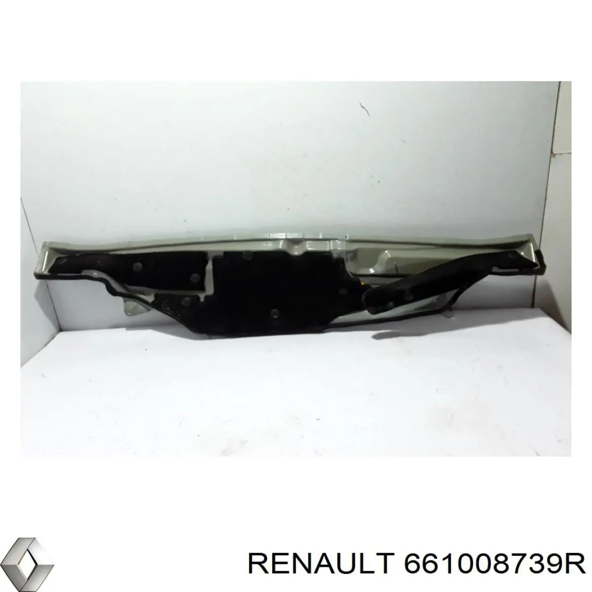 661008739R Renault (RVI) 