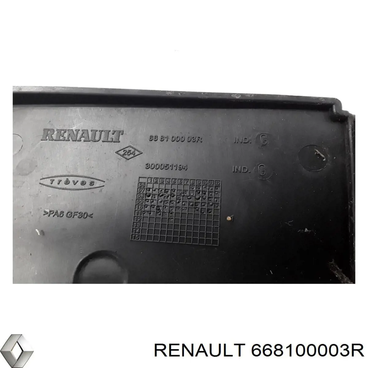 Купити 668100003R Renault (RVI) 