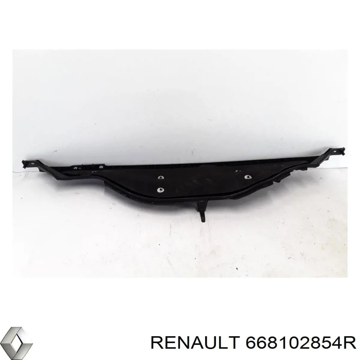 668102854R Renault (RVI) 