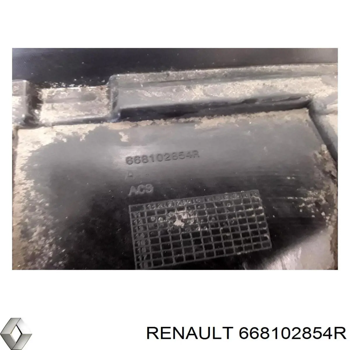 Купити 668102854R Renault (RVI) 