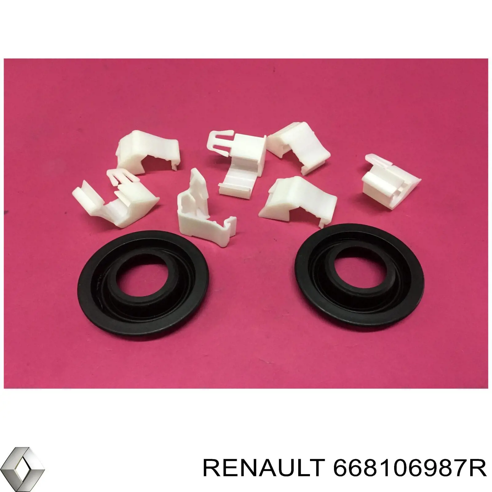  668106987R Renault (RVI)