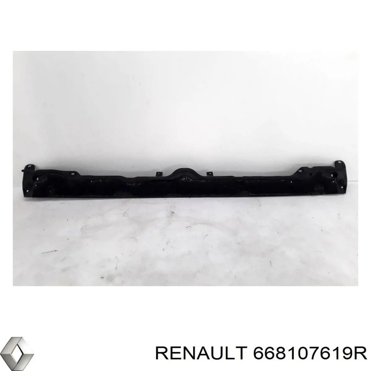  668107619R Renault (RVI)