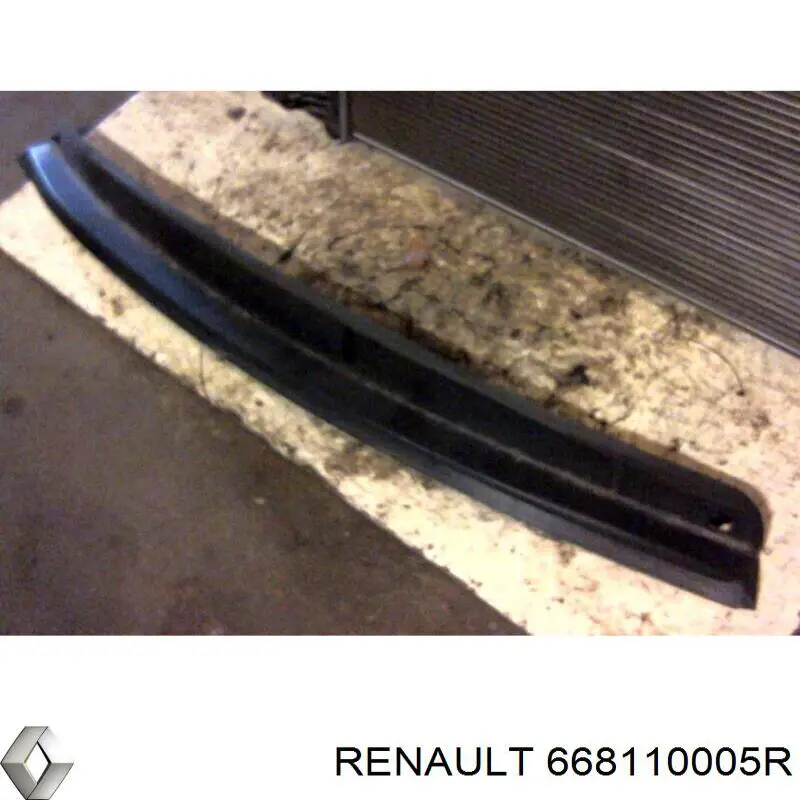 668110005R Renault (RVI) решітка двірників