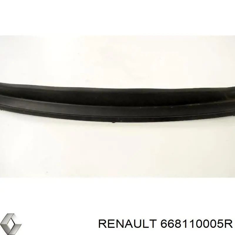 Купити 668110005R Renault (RVI) Решітка двірників