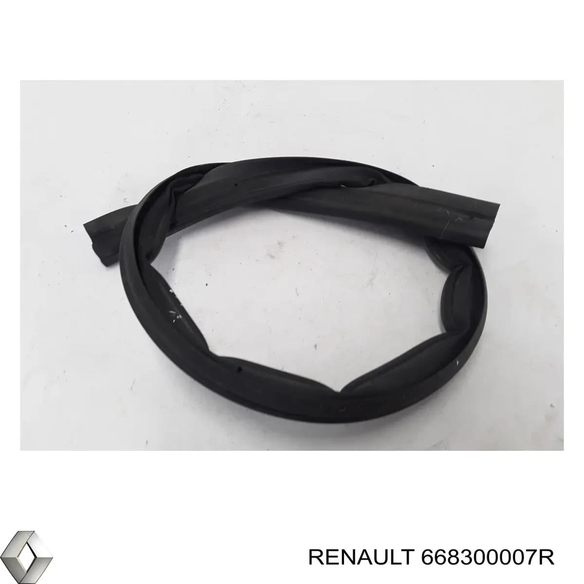  Renault (RVI) 668300007R ціна, від 19.45 USD