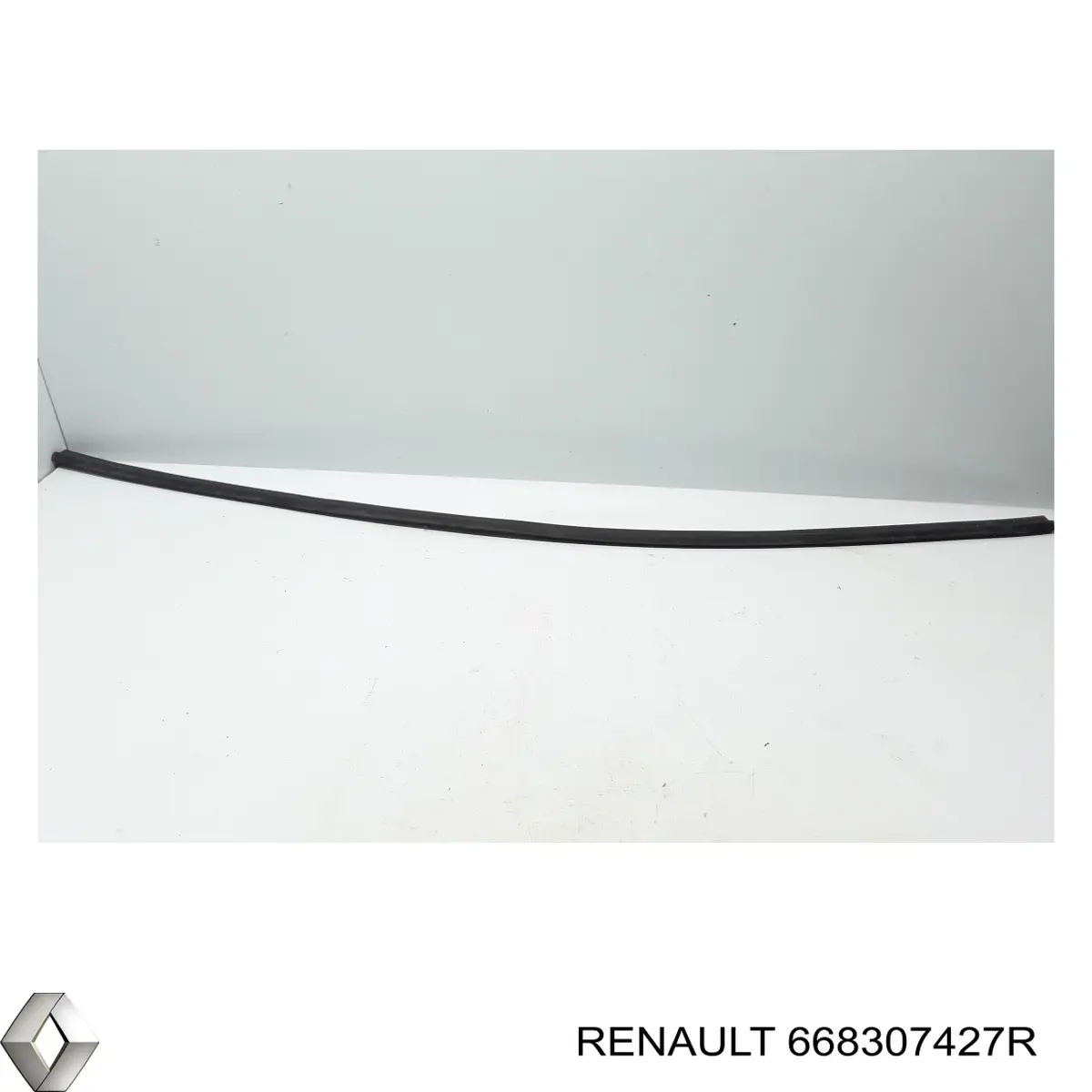 668307427R Renault (RVI) 