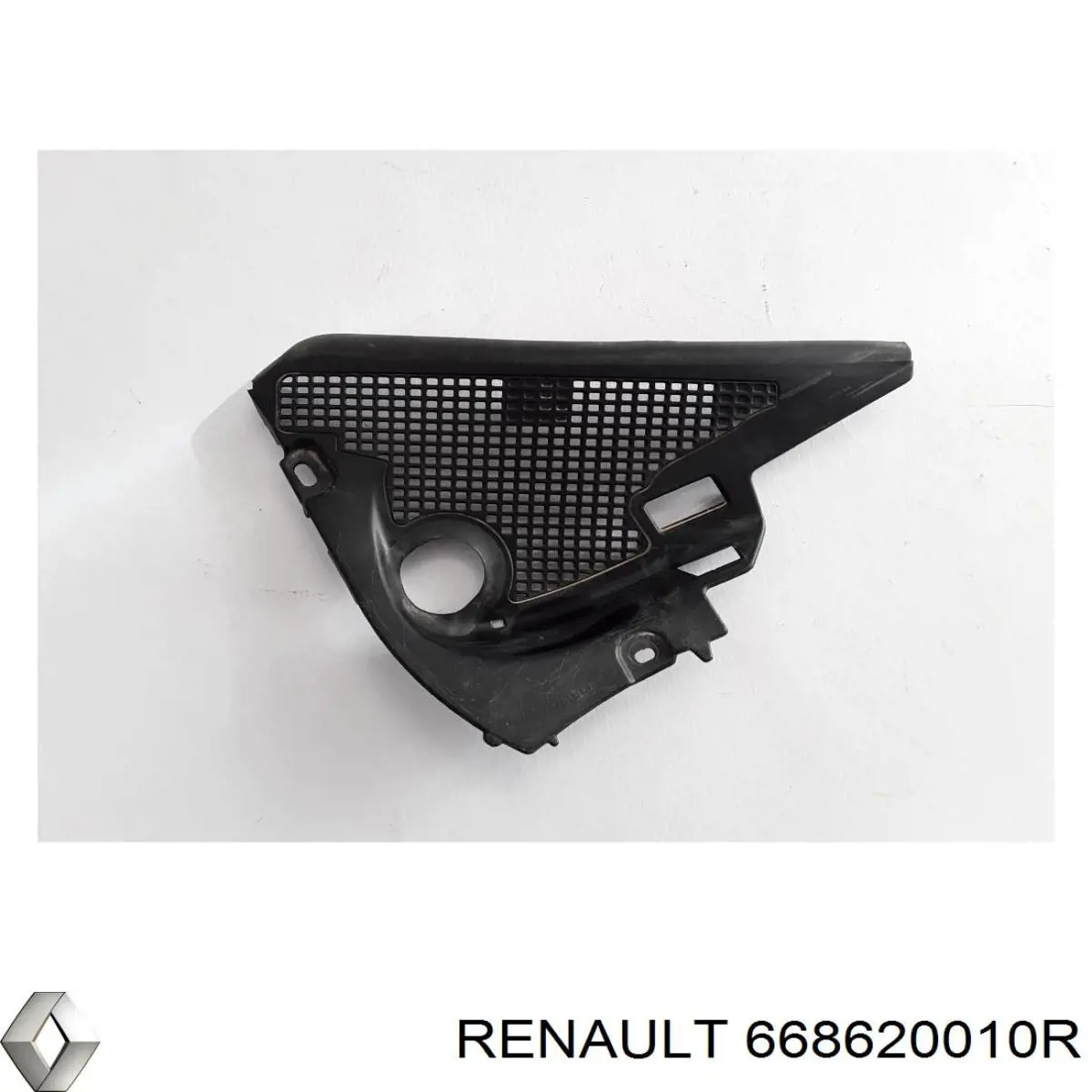 Купити 668620010R Renault (RVI) 