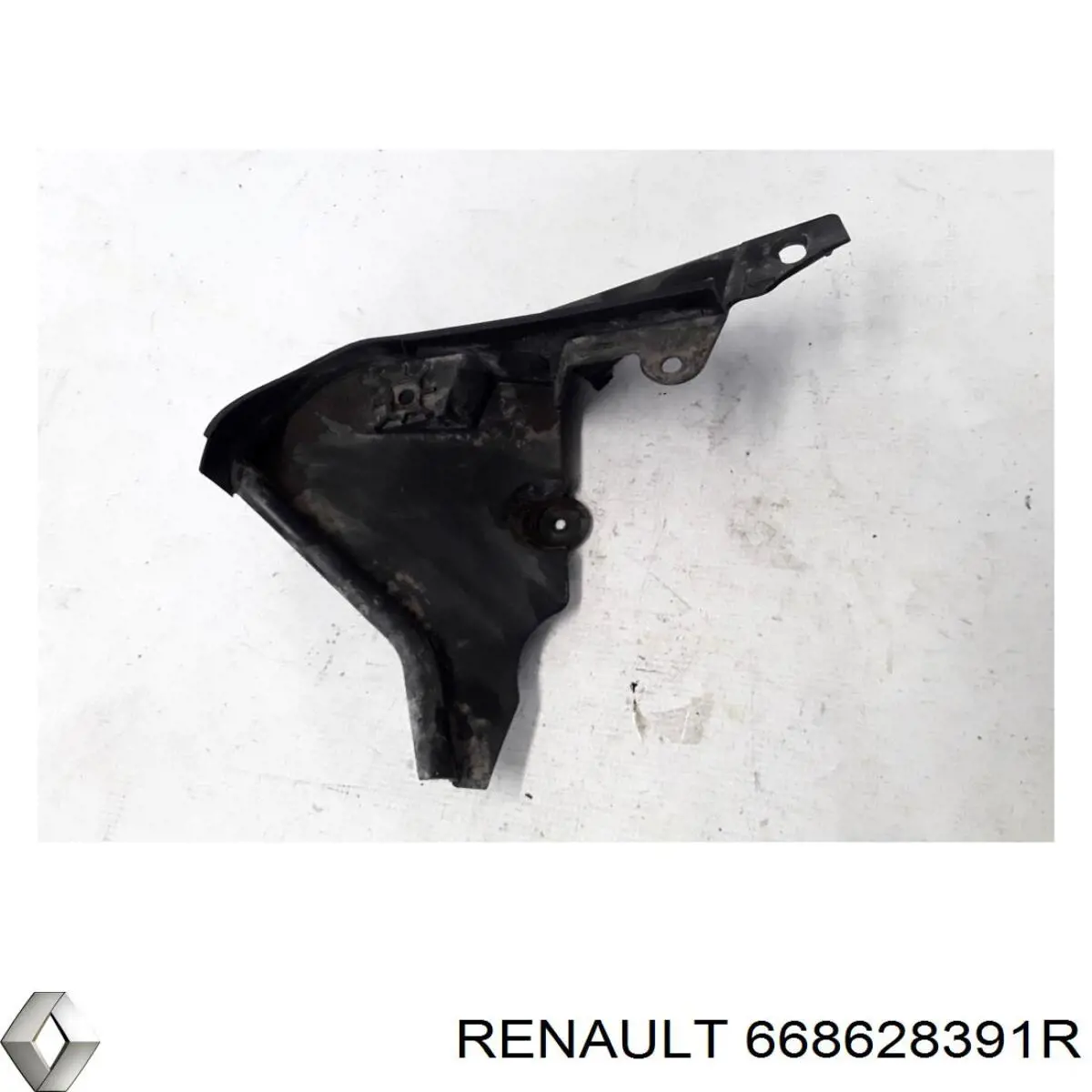 Купити 668628391R Renault (RVI) 