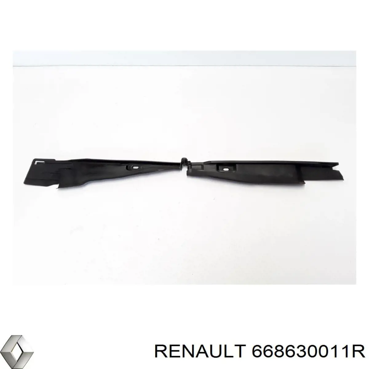 668630011R Renault (RVI) 