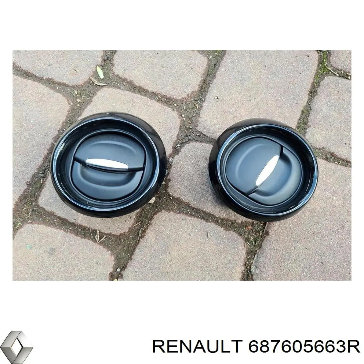 687605663R Renault (RVI) 