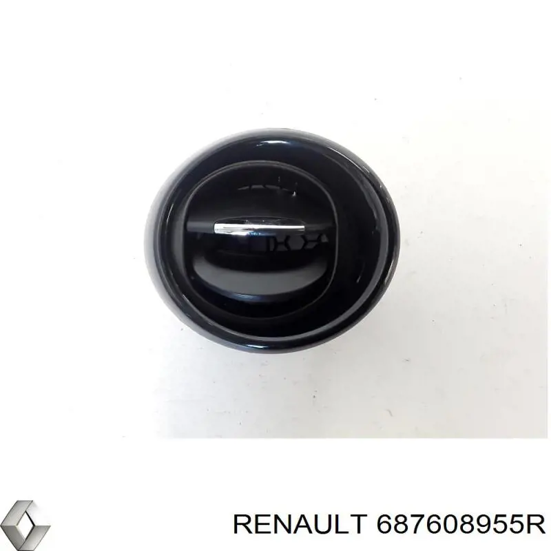  687608955R Renault (RVI)