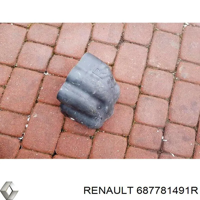 687781491R Renault (RVI) 